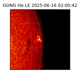 gong - 2025-06-16T02:00:42