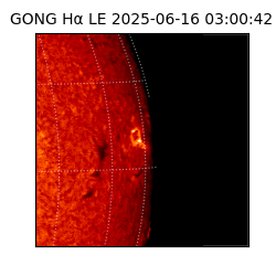 gong - 2025-06-16T03:00:42