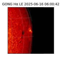 gong - 2025-06-16T06:00:42