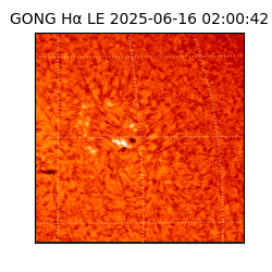 gong - 2025-06-16T02:00:42