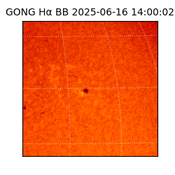 gong - 2025-06-16T14:00:02