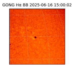 gong - 2025-06-16T15:00:02