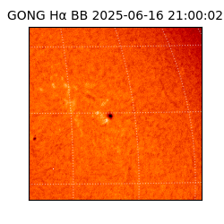 gong - 2025-06-16T21:00:02
