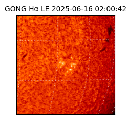 gong - 2025-06-16T02:00:42