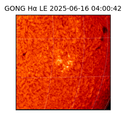 gong - 2025-06-16T04:00:42