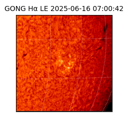 gong - 2025-06-16T07:00:42