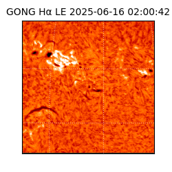 gong - 2025-06-16T02:00:42