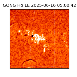 gong - 2025-06-16T05:00:42