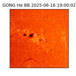 gong - 2025-06-16T19:00:02