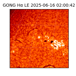 gong - 2025-06-16T02:00:42