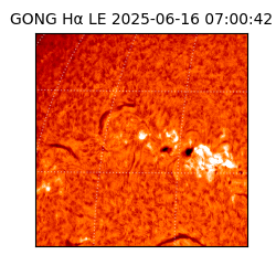 gong - 2025-06-16T07:00:42