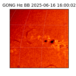gong - 2025-06-16T16:00:02