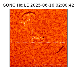 gong - 2025-06-16T02:00:42