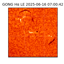 gong - 2025-06-16T07:00:42