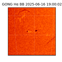 gong - 2025-06-16T19:00:02