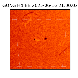 gong - 2025-06-16T21:00:02