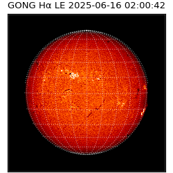 gong - 2025-06-16T02:00:42