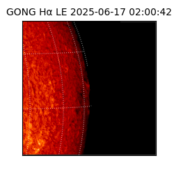 gong - 2025-06-17T02:00:42