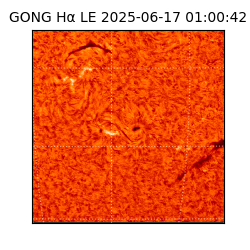 gong - 2025-06-17T01:00:42
