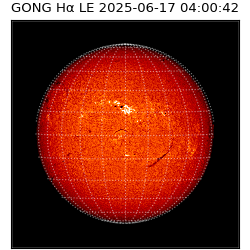 gong - 2025-06-17T04:00:42