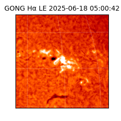 gong - 2025-06-18T05:00:42