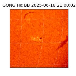 gong - 2025-06-18T21:00:02