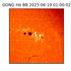 gong - 2025-06-19T01:00:02