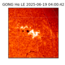 gong - 2025-06-19T04:00:42