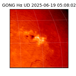 gong - 2025-06-19T05:08:02