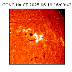 gong - 2025-06-19T16:00:42