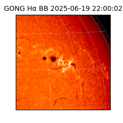 gong - 2025-06-19T22:00:02