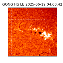 gong - 2025-06-19T04:00:42