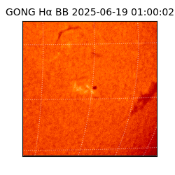 gong - 2025-06-19T01:00:02