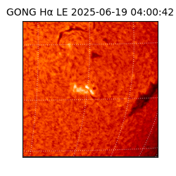 gong - 2025-06-19T04:00:42