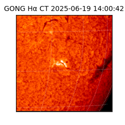 gong - 2025-06-19T14:00:42