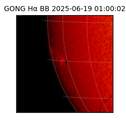 gong - 2025-06-19T01:00:02