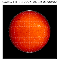 gong - 2025-06-19T01:00:02