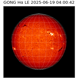 gong - 2025-06-19T04:00:42