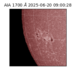 saia - 2025-06-20T09:00:28.718000