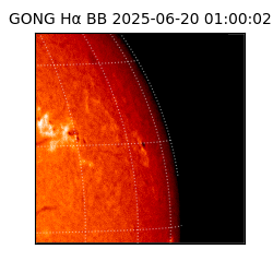 gong - 2025-06-20T01:00:02