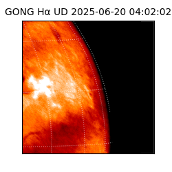 gong - 2025-06-20T04:02:02