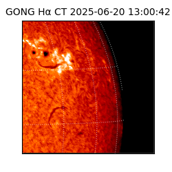 gong - 2025-06-20T13:00:42