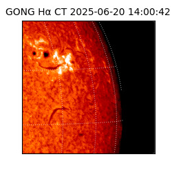 gong - 2025-06-20T14:00:42