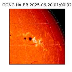 gong - 2025-06-20T01:00:02