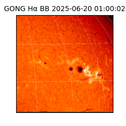 gong - 2025-06-20T01:00:02