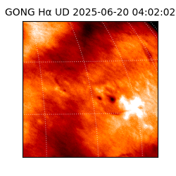 gong - 2025-06-20T04:02:02