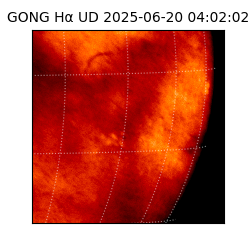 gong - 2025-06-20T04:02:02