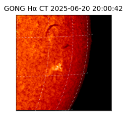 gong - 2025-06-20T20:00:42