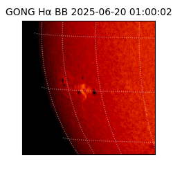 gong - 2025-06-20T01:00:02