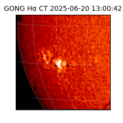 gong - 2025-06-20T13:00:42